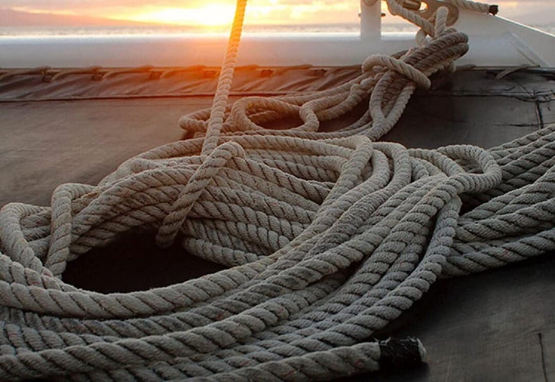 BSPS 10 Meter X 10 mm Thickness Twisted Nylon Rope Industrial Grade Utility Line Rot Alkali Chemical Weather Resistant Model Nylon_PP44 - Image 5