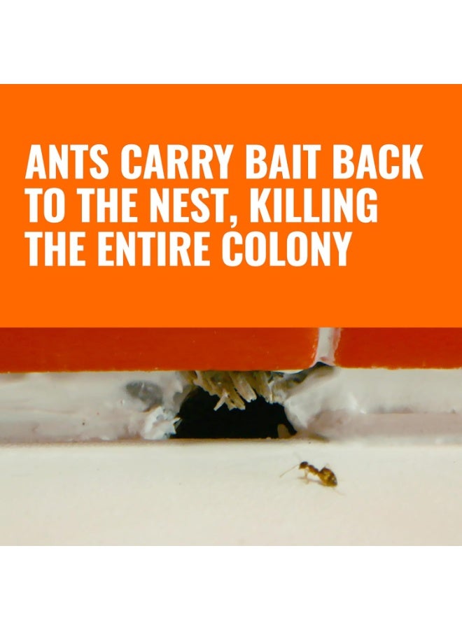 Terro محطات طُعْم قاتل النمل T300B - طُعْم سائل للقضاء على النمل - نظام الطُعْم - 12 محطة للتحكم الفعال في النمل داخل المنزل - Image 4