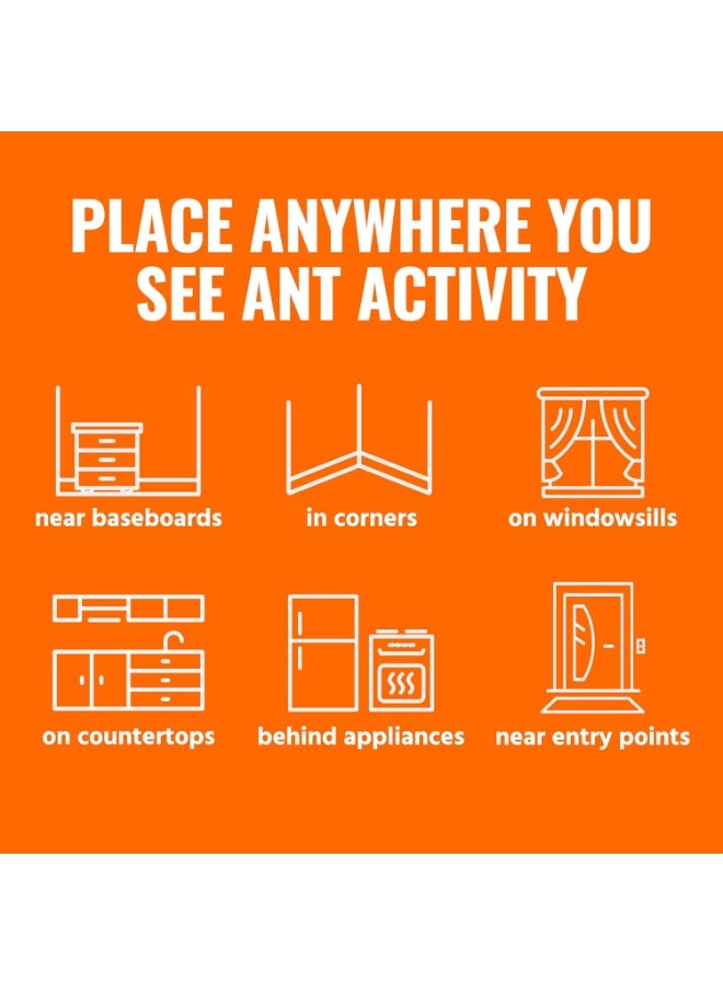 Terro محطات طُعْم قاتل النمل T300B - طُعْم سائل للقضاء على النمل - نظام الطُعْم - 12 محطة للتحكم الفعال في النمل داخل المنزل - Image 5
