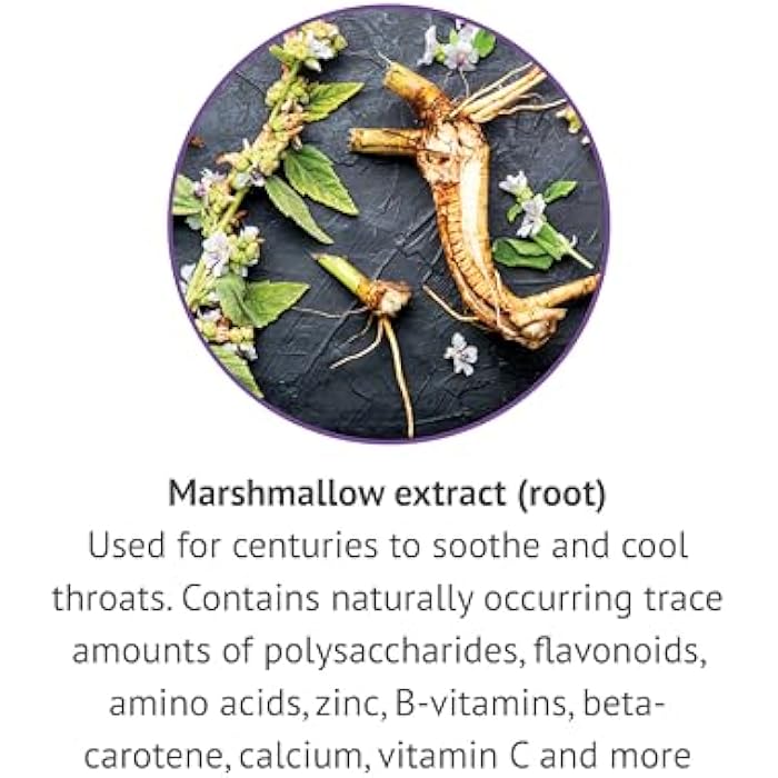 Botanic Choice Marshmallow Root Liquid Extract - Alcohol Free, Gluten Free, Traditional Throat and Respiratory Support 1 fl. oz. - Image 4