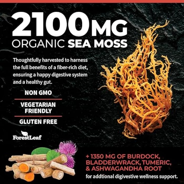 ForestLeaf Organic Irish Sea Moss Capsules | 2100mg Raw Seamoss Pills Advanced Supplement Superfood + Burdock, Bladderwrack for Digestive, Respiratory, Immune Health | 90 Vegan Organic Sea Moss Caps - Image 4
