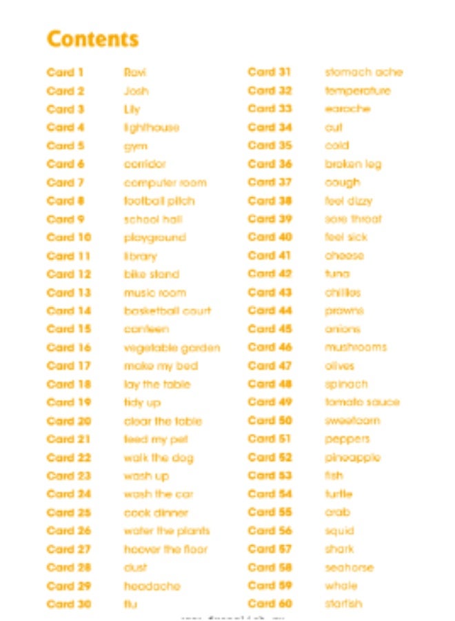 Macmillan Give Me Five! -  English Course for Young Learners -level  3 Flashcards - Image 2