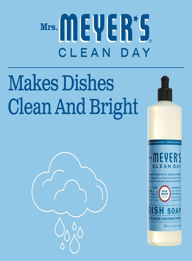 MRS. MEYER'S CLEAN DAY Liquid Dish Soap, Biodegradable Formula, Rain Water, 16 fl. oz - Pack of 3 - Image 5