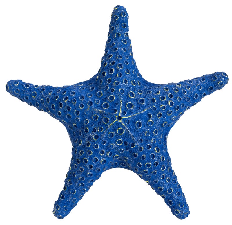 VVGIFTS Blue Ocean Beach Decoration Starfish Resin Wall Hanging Decoration (RoyalBlue) - Image 2