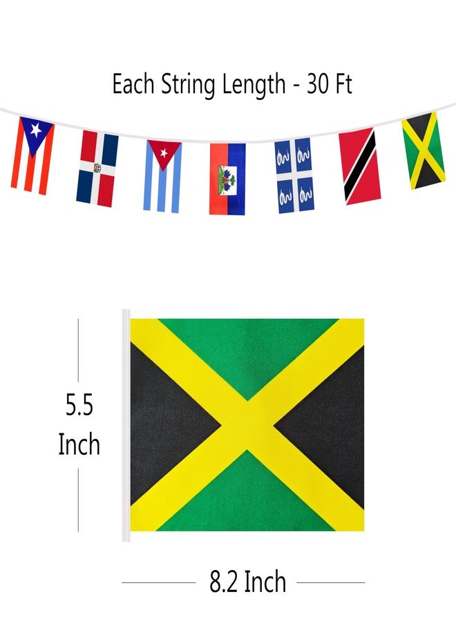 BCLin Caribbean 20 Countries Banner Flag String, 20 International Country Mini Flag Small Banner for Classroom, Party, Shops and Bars Decorations, Outdoor Decorations, Indoor Decorations (1 Pack) - Image 2