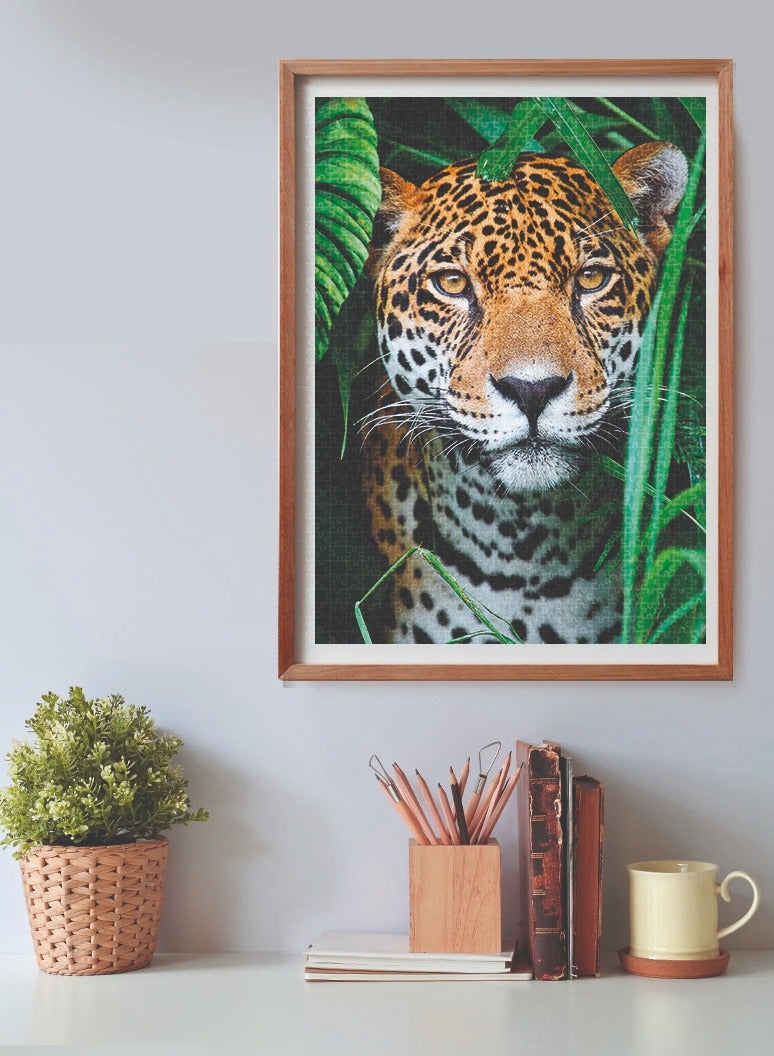 Clementoni Puzzle HQC Jaguar in the Jungle 500 Pieces | Jigsaw Puzzle | Children's Puzzle | Kids & Adults Puzzle | Preschool Learning Toys | Develops Problem Solving Skills | Stress Reliever Toy | Made in Italy - Image 4