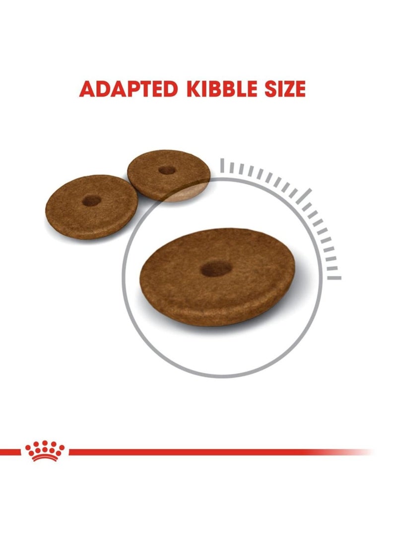 ROYAL CANIN طعام جاف للقطط من دايجستيف كير 400 جرام - Image 2