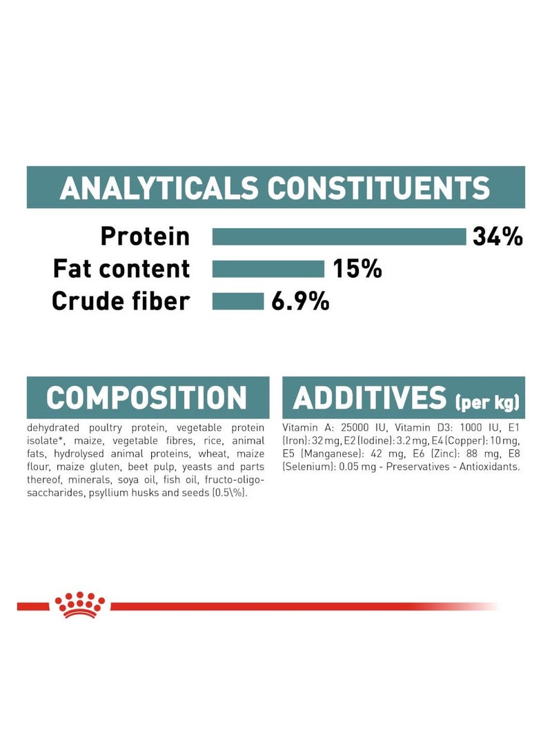 ROYAL CANIN طعام جاف للقطط من دايجستيف كير 400 جرام - Image 3