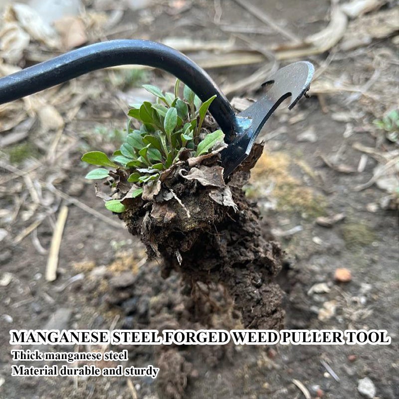 WMM Weed Puller Tool Gardening Tools Set of 2 Uprooting Weed Pulling Tool, 4 Teeth Manganese Steel Forged Weeding Tool for Vegetable, Portable Hand Weeder Tool for Garden Farm Planting Weeding - Image 4