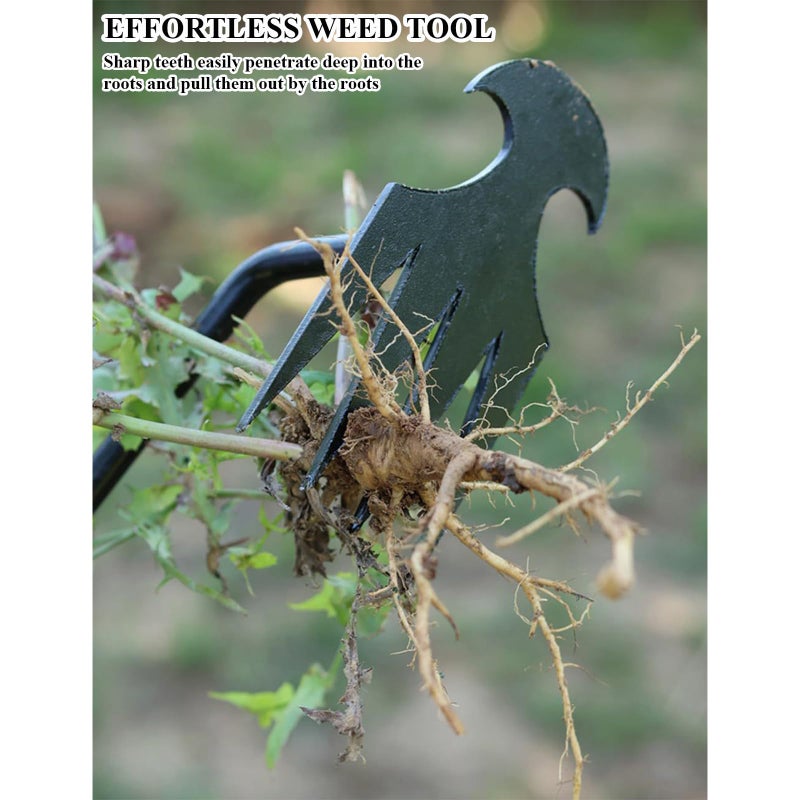 WMM Weed Puller Tool Gardening Tools Set of 2 Uprooting Weed Pulling Tool, 4 Teeth Manganese Steel Forged Weeding Tool for Vegetable, Portable Hand Weeder Tool for Garden Farm Planting Weeding - Image 3