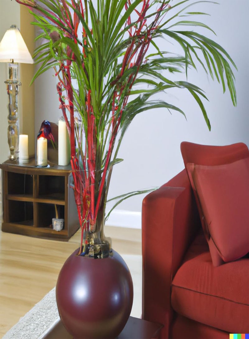 GGOOT Lipstick Palm Cyrtostachys Lakka Tropical Seeds - 10 Rare Exotic Seeds for Indoor House Plant - Image 1