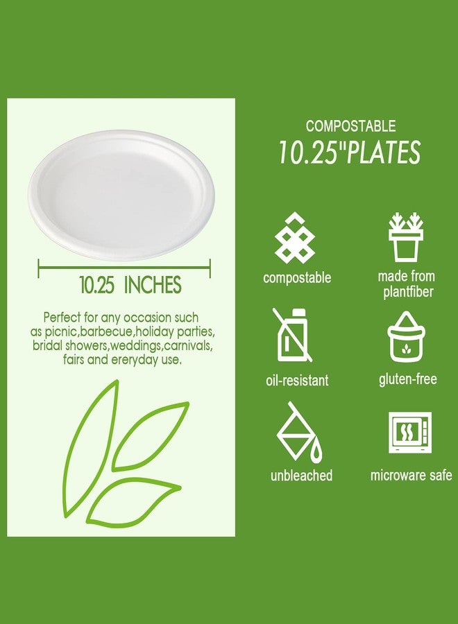 Vplus 150 Pack Compostable Disposable Paper Plates 10.25 inch Super Strong Paper Plates 100% Bagasse Natural Biodegradable Eco-Friendly Sugarcane(white) - Image 2