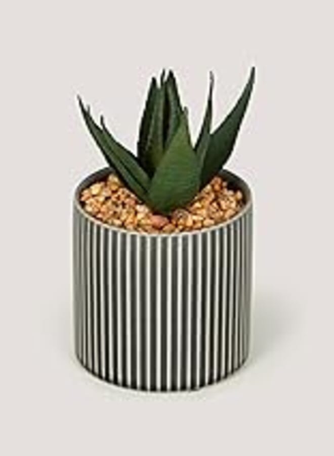 Matalan Matalan Mini Aloe with Grey Pot, 23 cm Height x 8 cm Depth 
