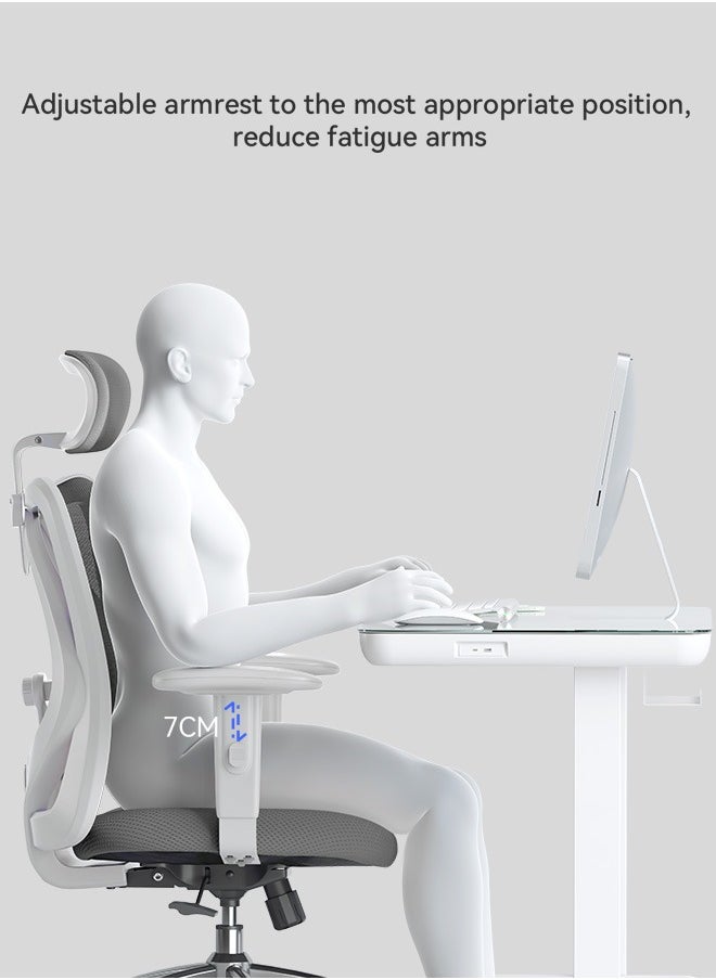 Sihoo M18 مكتب مريح كرسي ، كرسي مكتب الكمبيوتر مع مسند الظهر عالية ، مع 2D مسند ذراع ، قابل للتعديل مسند الرأس ، ودعم الخصر وسادة سميكة ومريحة . ( رمادي مش أبيض الحدود )