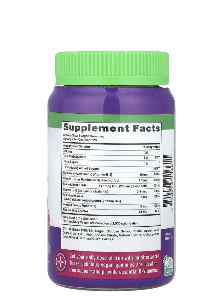 نايتشورز تروث الحديد الأساسي + فيتامينات ب، الزنك، العنب الطبيعي، 60 علكة نباتية - Image 2