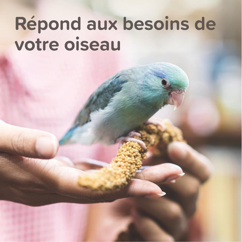 Beaphar XtraVital Parakeet Food 500g - Image 5