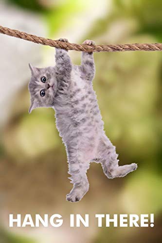 ZMKDLL Cat Hang in There Cat Retro Metal Sign Poster 12x8 Inch