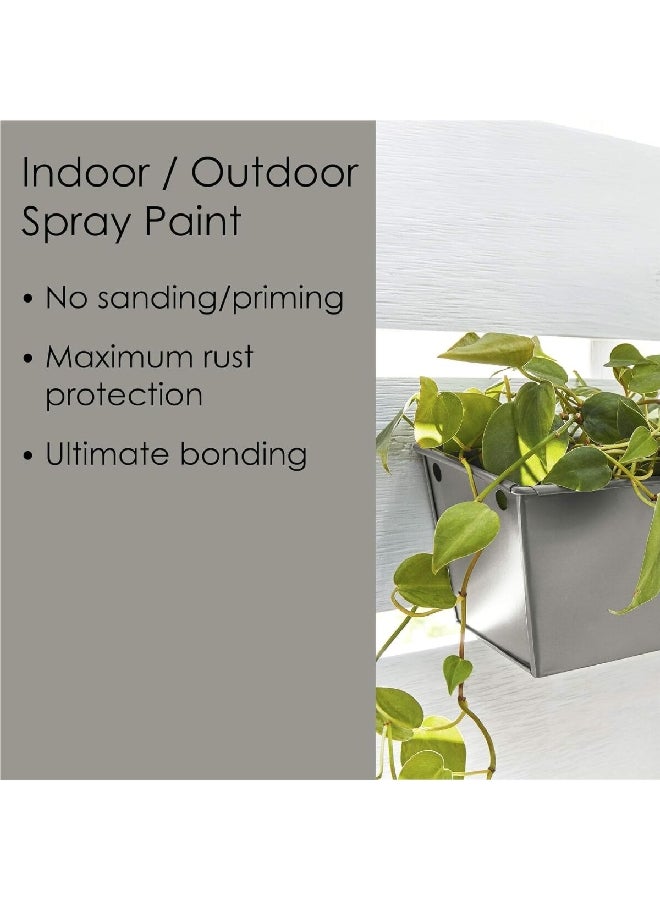 كرايلون فيوجن الكل في واحد رذاذ الطلاء والطبقة الأولية باللون الرمادي الدخاني اللامع 12 أوقية (340 جم)، K02723007 - Image 3