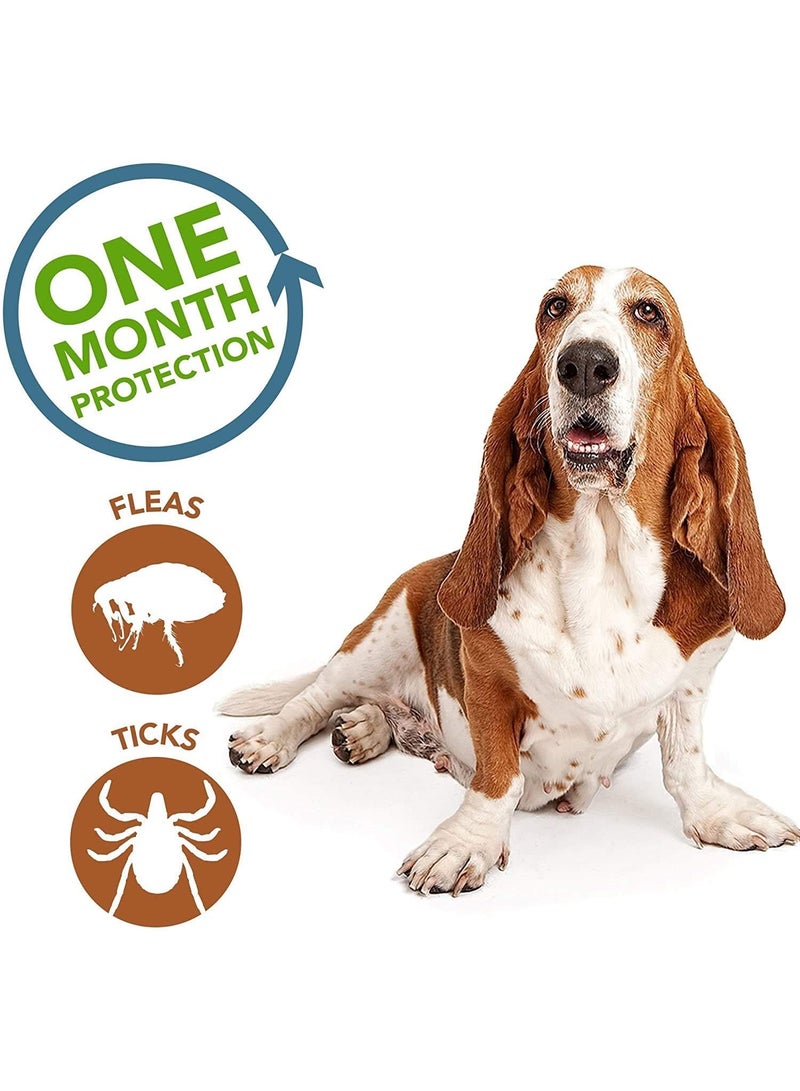 SHIELD PLUS Medfly Healthcare Parashield Plus Spot On Solution for Ticks and Fleas - Dog Over 10 kg up to 20 kg (Pack of 1) - Image 3