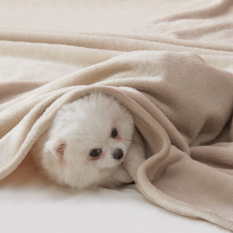 BEAUTEX Fleece Blanket Queen Size Super Soft Flannel Throw Blanket Lightweight Fuzzy Plush Blanket for Couch Sofa or Bed All Seasons (Ivory  90"" x 90"") - Image 3