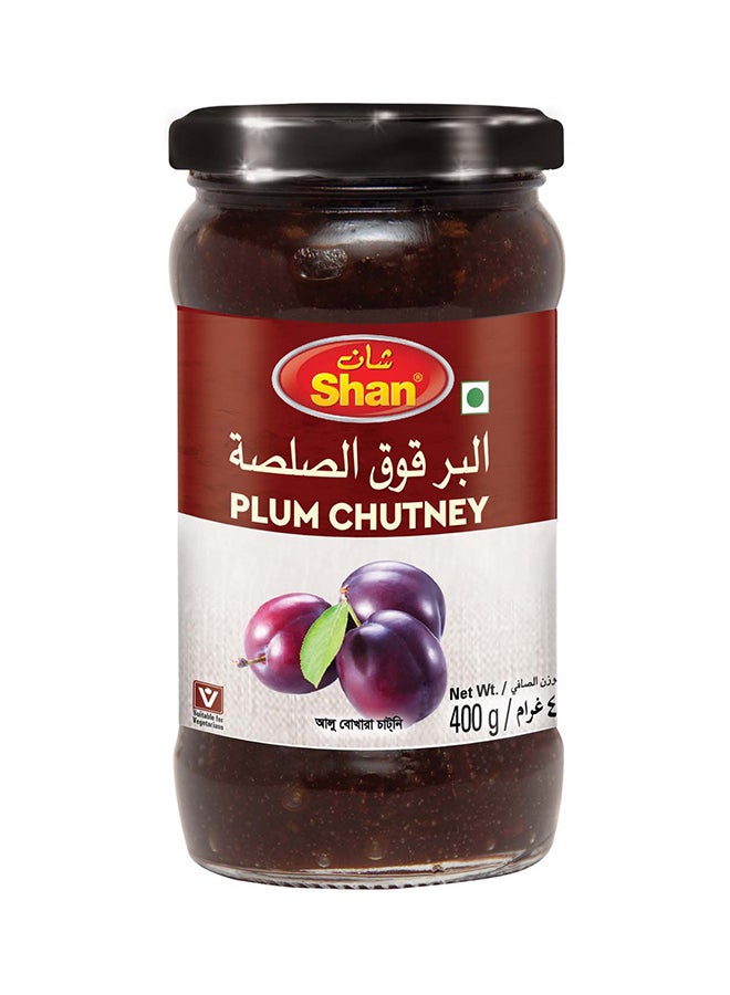 Shan Plum Chutney 400gm - Image 1