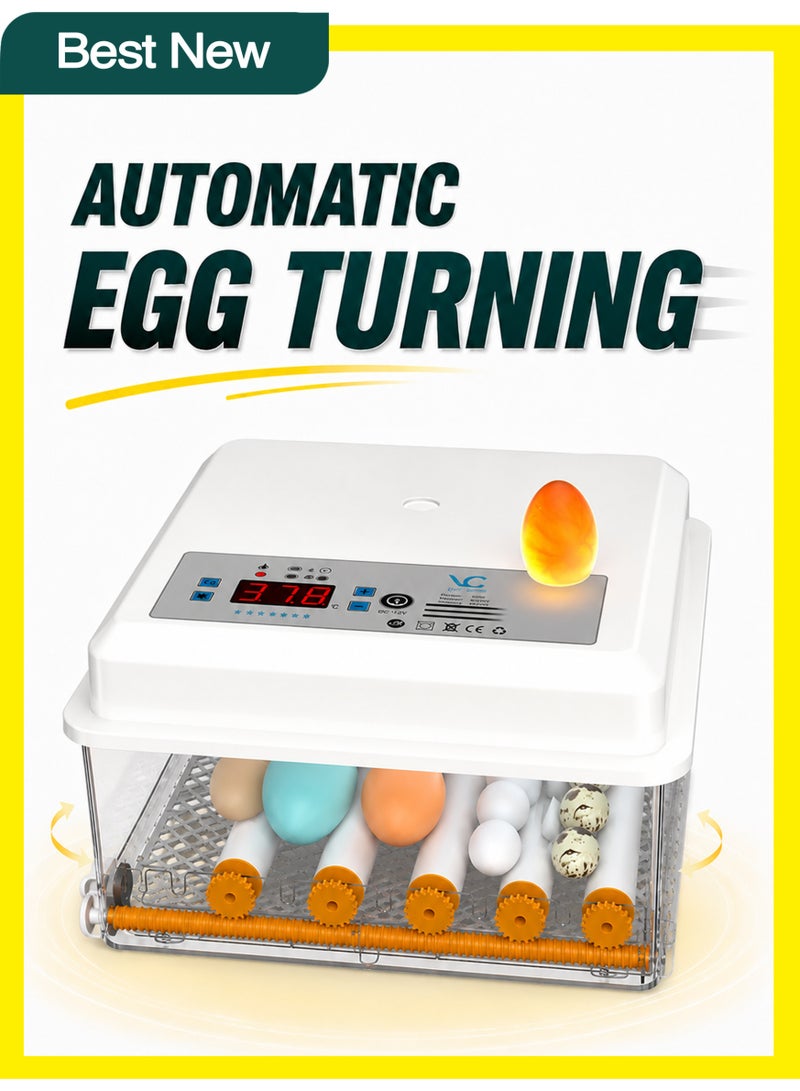 BASEMENT-1 Household Small Incubator Automatic Egg Turning Intelligent Egg Hatching Machine Digital Display Temperature Control Used for Hatching Chickens, Ducks, Geese, Etc - Image 1