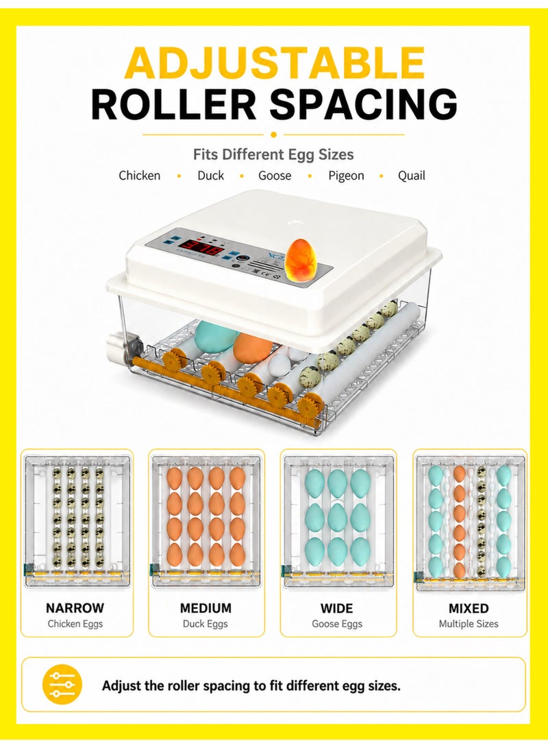BASEMENT-1 Household Small Incubator Automatic Egg Turning Intelligent Egg Hatching Machine Digital Display Temperature Control Used for Hatching Chickens, Ducks, Geese, Etc - Image 4