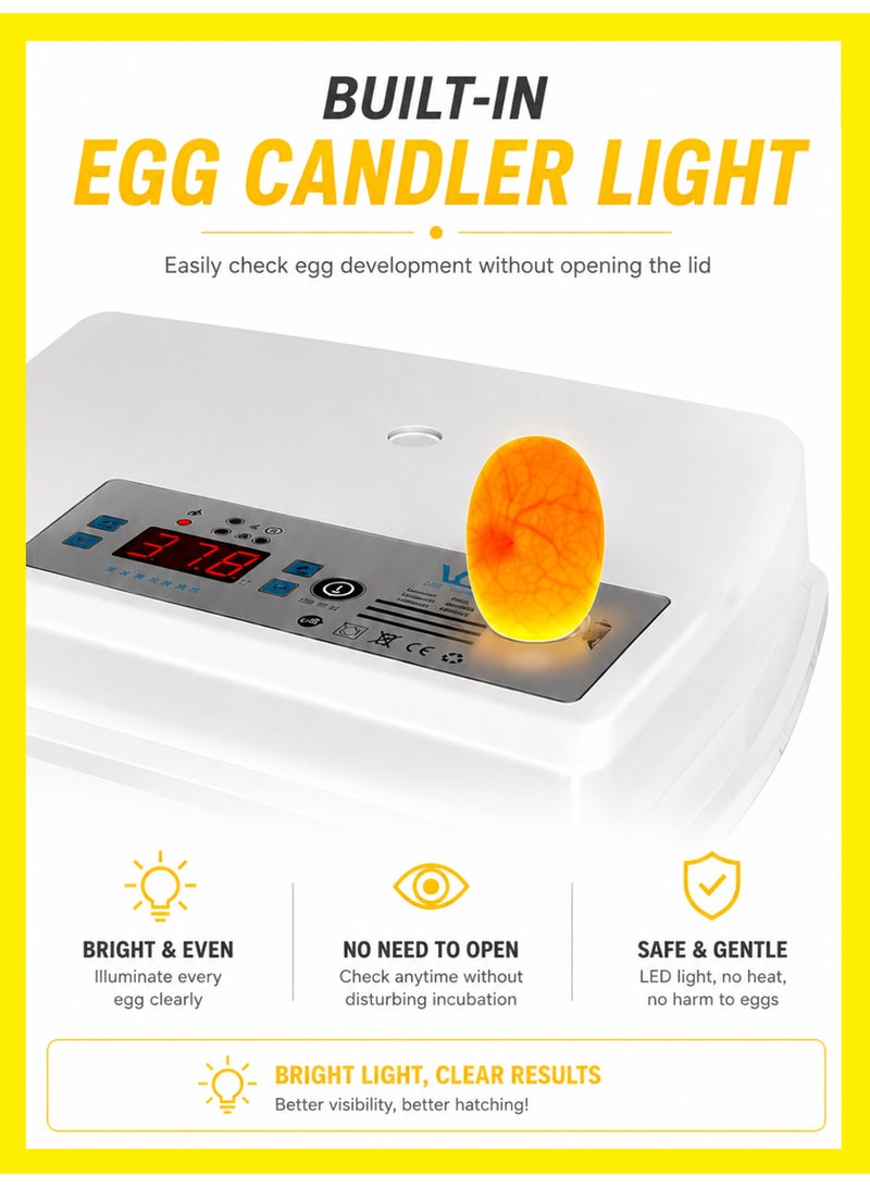 BASEMENT-1 Household Small Incubator Automatic Egg Turning Intelligent Egg Hatching Machine Digital Display Temperature Control Used for Hatching Chickens, Ducks, Geese, Etc - Image 3