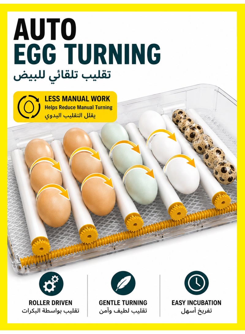 BASEMENT-1 Household Small Incubator Automatic Egg Turning Intelligent Egg Hatching Machine Digital Display Temperature Control Used for Hatching Chickens, Ducks, Geese, Etc - Image 2