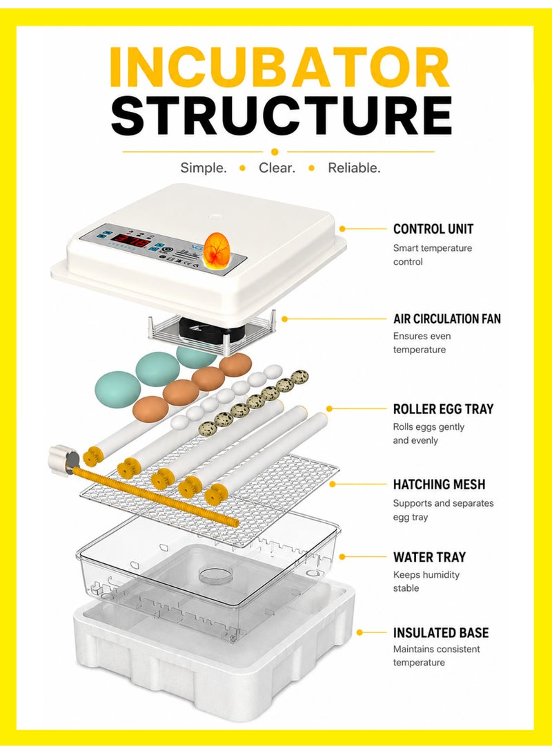 BASEMENT-1 Household Small Incubator Automatic Egg Turning Intelligent Egg Hatching Machine Digital Display Temperature Control Used for Hatching Chickens, Ducks, Geese, Etc - Image 5