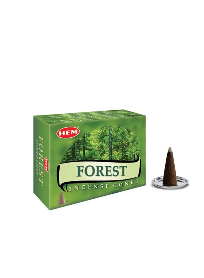 Hem Forest Pack of 12 Incense Cones Boxes, 10 Cones Each, Traditionally Handrolled in India, Best Natural Fragrance Perfect for Prayers Meditation, Yoga, Relaxation, Peace, Positivity, Healing Prayers - Image 1