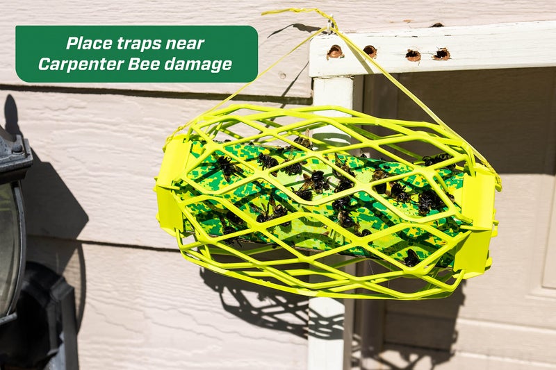 Rescue! Carpenter Bee TrapStik â€“ Also Works on Wasps, Mud Daubers - 2 Traps - Image 3