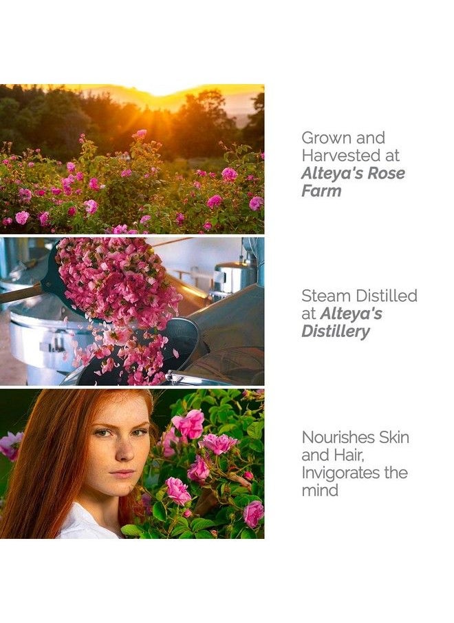 Alteya Organics Rose Water Usda Certified Organic Facial Toner 8 Fl Oz 240Ml Pure Bulgarian Rosa Damascena Flower Water Award Winning Moisturizer Amber Glass Spray Bottle  - Image 4