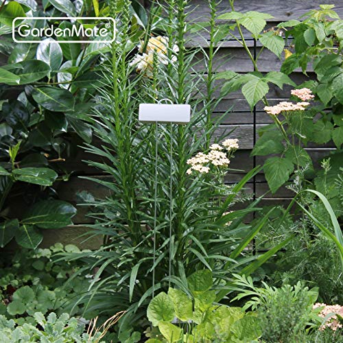 GardenMate 25-Pack Weatherproof XL Metal Plant Labels, Height 21", Label Area 3 1/2'' x 1 1/4'' - Image 4