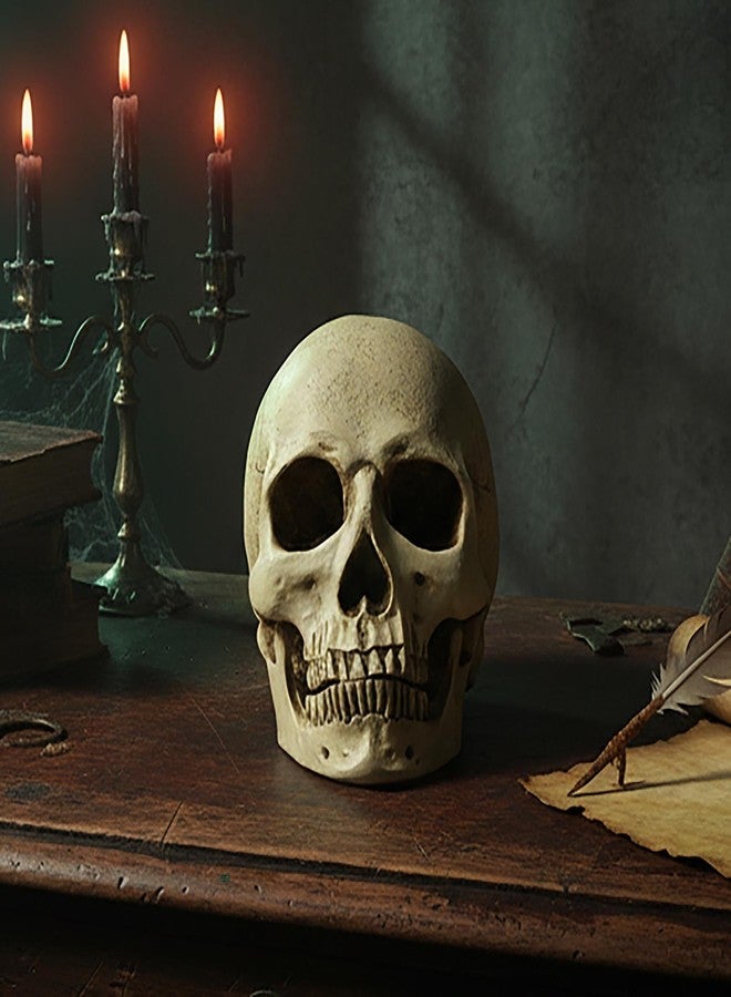 PlentifulHome Resin Human Skull Statue – Realistic Skeleton Head Decor for Halloween, Gothic Home Accents, Macabre Ornaments & Spooky Displays – 7.09” Horror Skull Decoration - Image 2