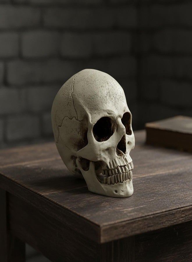 PlentifulHome Resin Human Skull Statue – Realistic Skeleton Head Decor for Halloween, Gothic Home Accents, Macabre Ornaments & Spooky Displays – 7.09” Horror Skull Decoration - Image 3