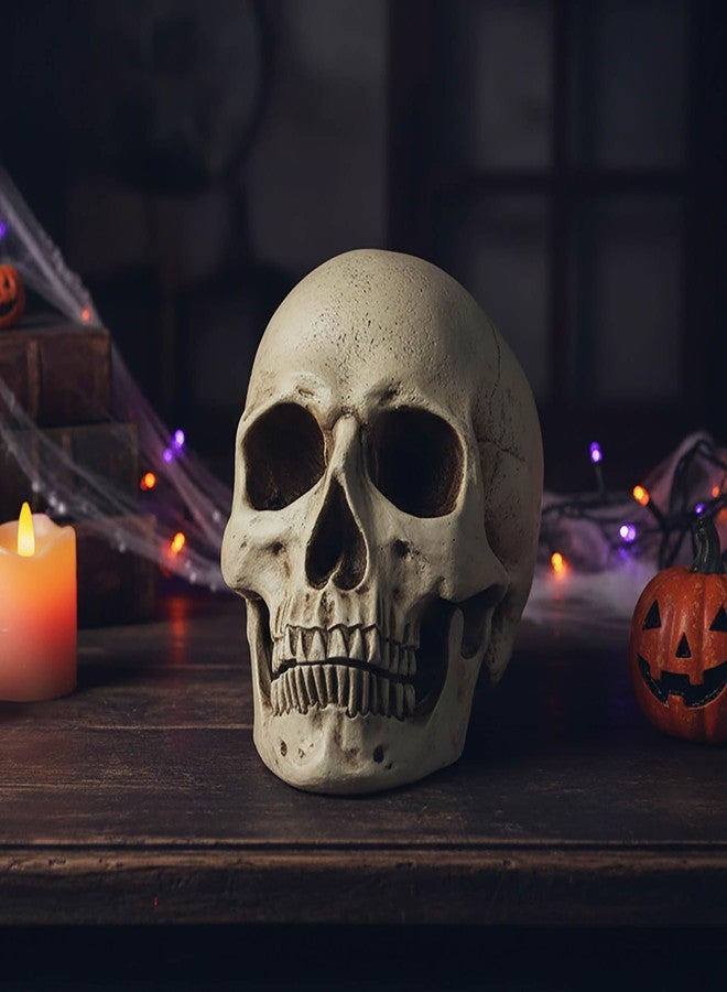 PlentifulHome Resin Human Skull Statue – Realistic Skeleton Head Decor for Halloween, Gothic Home Accents, Macabre Ornaments & Spooky Displays – 7.09” Horror Skull Decoration - Image 4