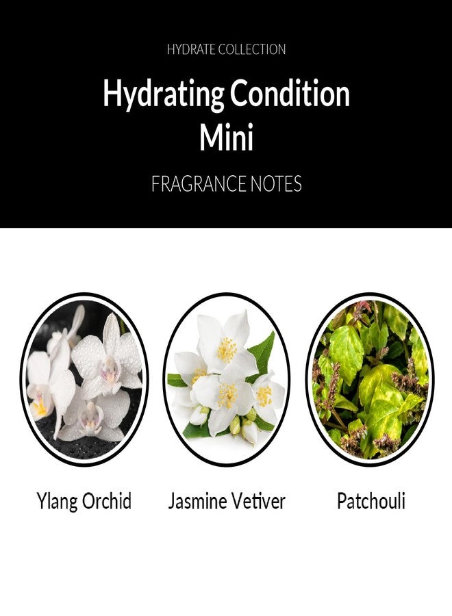 Number 4 Mini Hydrating Hair Conditioner, Travel Size Moisturizing Deep Conditioner for Dry, Damaged Hair, 1.5 oz - Image 4