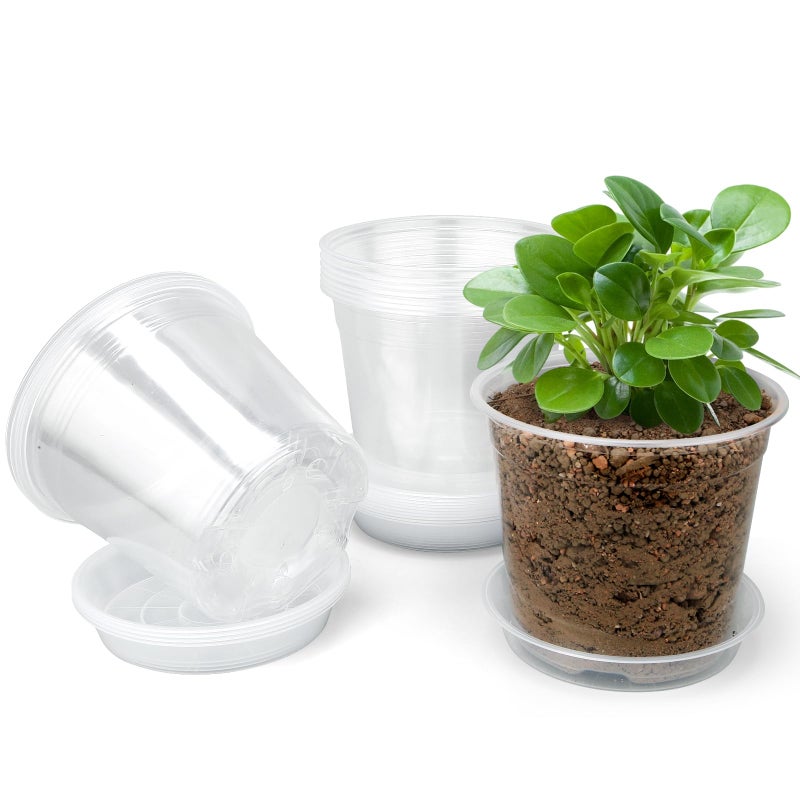 FUOAUYK 3 Inch Clear Nursery Pots with Drainage Trays, 15 Pack Plastic Pots for Plants, Clear Pot for Seed Starting, Transplanting, Succulents, and Indoor Gardening (3 inch) - Image 1
