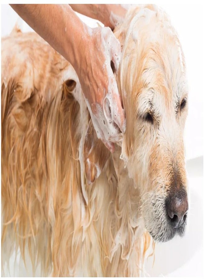 swacch شامبو سواتش للكلاب البوميرانية | شامبو آمن للجراء | متوازن الحموضة | يمنح الشعر لمعانًا ونعومة | لتر واحد من خلاصة النيم والصبار - Image 2