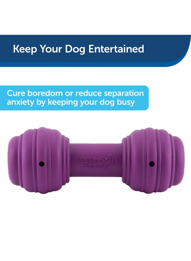 PetSafe Busy Buddy Chuckle Sound Dog Chew Toy - Treat Dispenser, BB-CHK, Purple,Medium/Large - Image 2