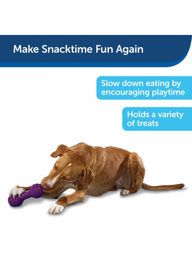 PetSafe Busy Buddy Chuckle Sound Dog Chew Toy - Treat Dispenser, BB-CHK, Purple,Medium/Large - Image 1