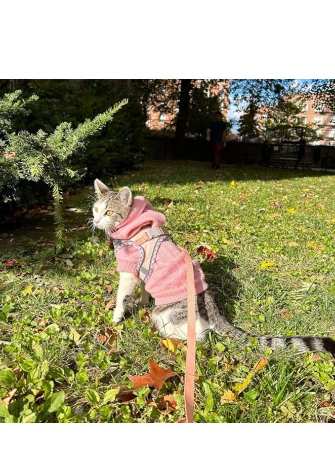 حزام للكلاب الصغيرة والمتوسطة - طقم حزام ومقود بدون سحب للجراء، حزام سهل المشي للمشي والجري والتدريب، مقاس قابل للتعديل، 5 مقاسات، 4 ألوان، حزام مريح للكلاب، حزام عاكس للضوء للكلاب، حزام مبطن ناعم للحيوانات الأليفة للكلاب الأنشطة الخارجية - Image 2