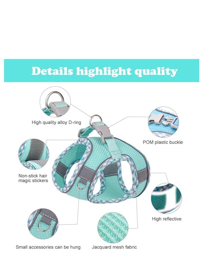 حزام للكلاب الصغيرة والمتوسطة - طقم حزام ومقود بدون سحب للجراء، حزام سهل المشي للمشي والجري والتدريب، مقاس قابل للتعديل، 5 مقاسات، 4 ألوان، حزام مريح للكلاب، حزام عاكس للضوء للكلاب، حزام مبطن ناعم للحيوانات الأليفة للكلاب الأنشطة الخارجية - Image 3