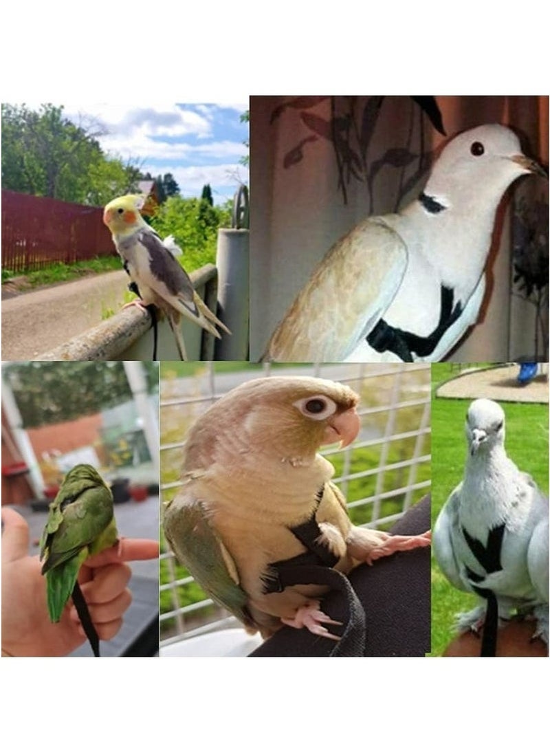 Strap for Parrots, Bird Bridle Chain, Adjustable Pet Parrot Bird Harness and Leash, Adjustable Outdoor Flying Traction Straps Band Adjustable Anti-Bite Training Rope（S） - Image 5
