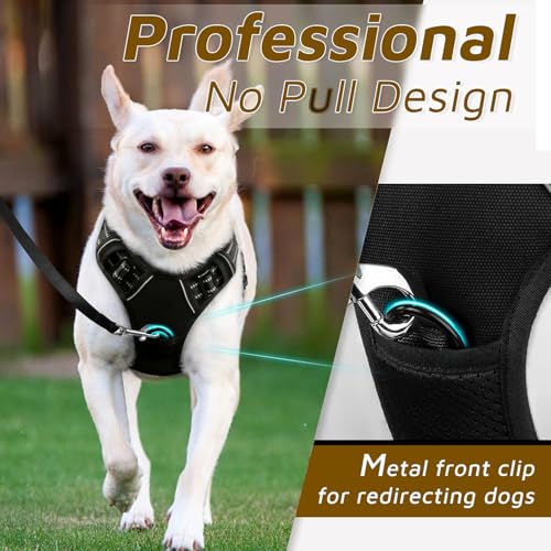 Doggo Bite Premium Reflective Dog Vest Harness| Soft Breathable| Padded Handle| Adjustable Straps & Luxury Buckle| No-Choke with Free Designer Leash-19mm| Chest (22-28inch) All Small Breeds 4-13Kg - Image 4
