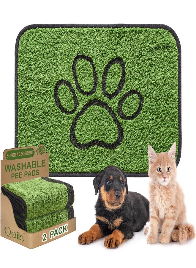 Qeils Washable Pee Pads for Dogs, 2 Pack Super Absorbent Reusable Puppy Pads with Green Long Wool for Potty Training, Floor, Couch, Bed, and Crate,24"x 36" - Image 1