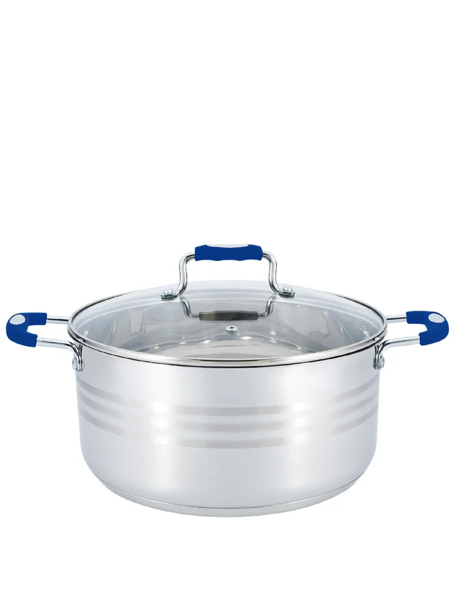 ويلسون قدر ويلسون ستانلس ستيل فضي بمقبض سيليكون أزرق،  لتر