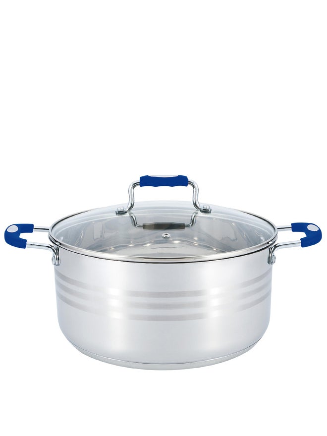 Wilson طاجن ويلسون من الفولاذ المقاوم للصدأ باللون الفضي مع مقبض سيليكون أزرق، 2 لتر