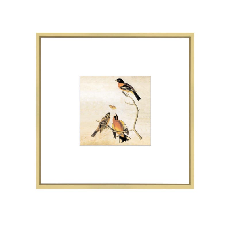 BKABOT 8X8 Picture Frame  Brass Metal Square Photo Frames With Hd Glass  Fits 5X5 With Mat Or 8 X 8 Without Mat  Display For Wall And Table  1 Pack - Image 1